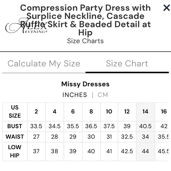 NWOT Alex Evenings Compression Party Dress with Cascade Ruffle & Beaded Detail - Picture 4 of 4